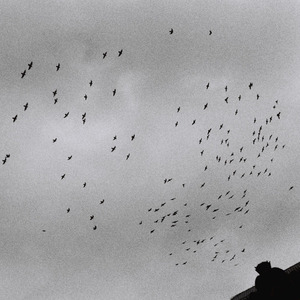 3p视频在线观看
